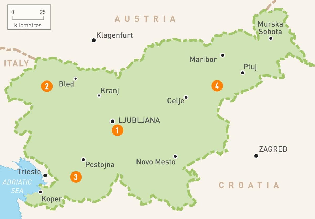 Peta Slovenia kawasan